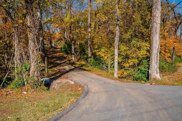 view of road