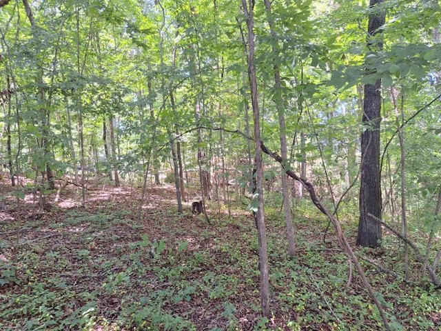 0 Devin Dr, Lawrenceburg TN, 38464 land for sale