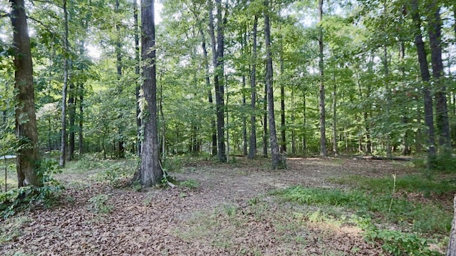 view of local wilderness