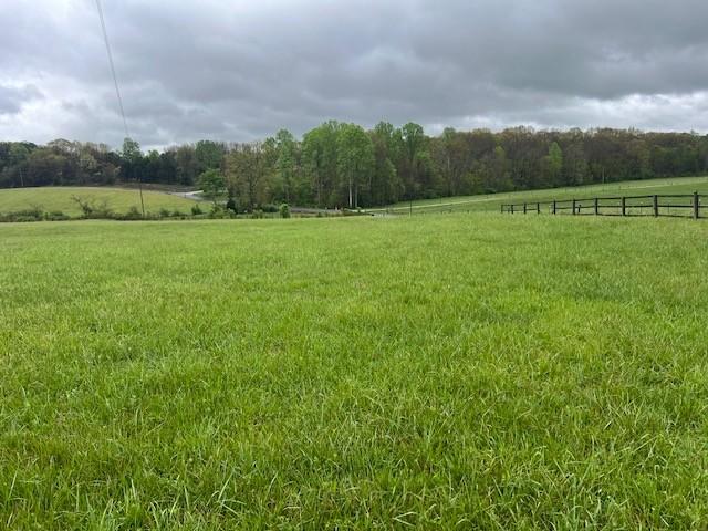 view of yard featuring a rural view