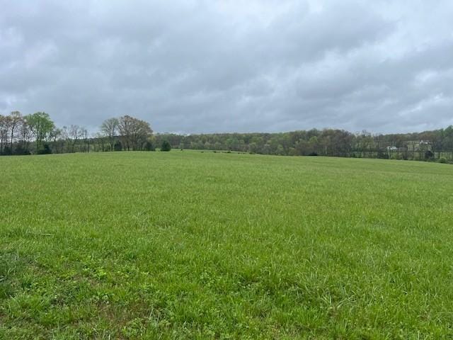 view of local wilderness featuring a rural view