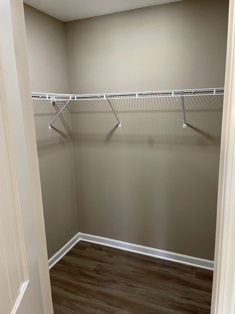 walk in closet with dark wood-type flooring