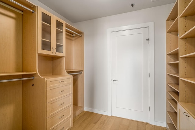 spacious closet featuring light wood-type flooring