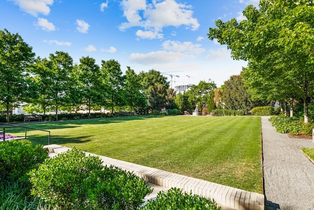 view of community featuring a yard