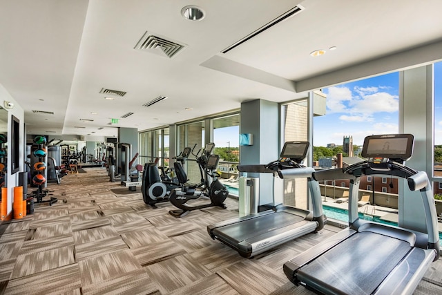 gym featuring expansive windows and light carpet