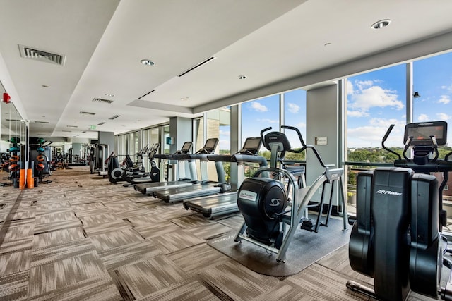 workout area featuring a wealth of natural light, light colored carpet, and a wall of windows