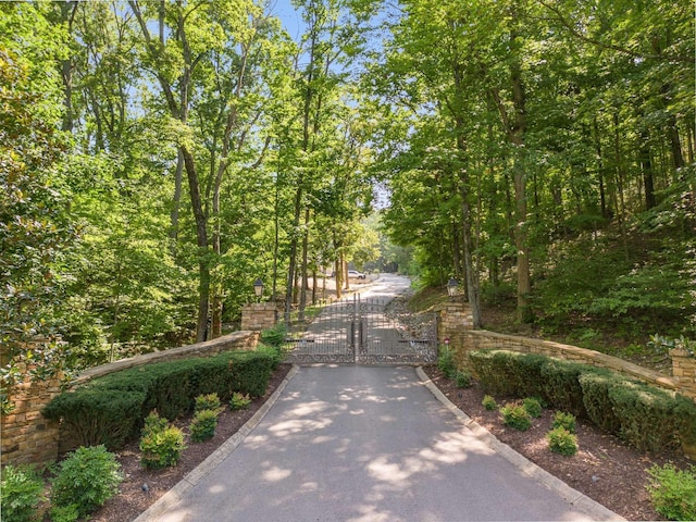 730 Valhalla Ln, Brentwood TN, 37027 land for sale