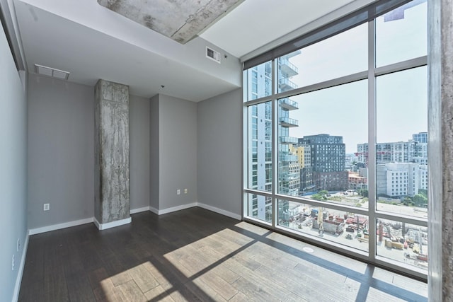 spare room featuring expansive windows and dark hardwood / wood-style flooring