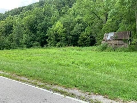 Listing photo 3 for 0 Wartrace Rd, Whitleyville TN 38588