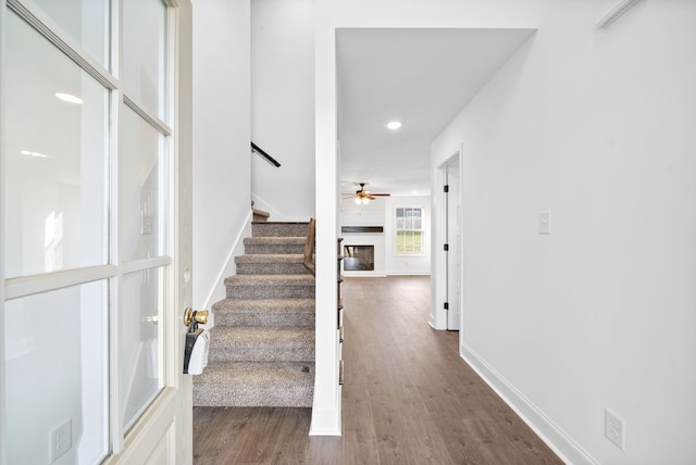 interior space featuring a fireplace, dark hardwood / wood-style floors, and ceiling fan