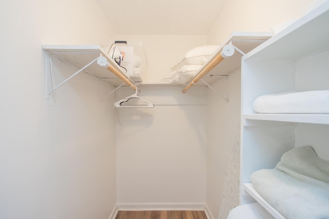 walk in closet featuring wood-type flooring