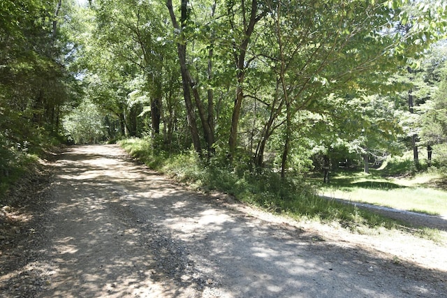 view of street with a view of trees