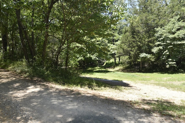 view of nature featuring a forest view