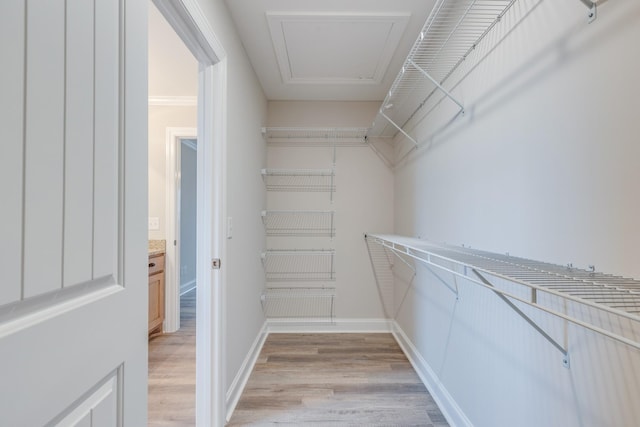124 Lookout Ln, Pulaski, TN 38478 - walk in closet featuring light wood-type flooring