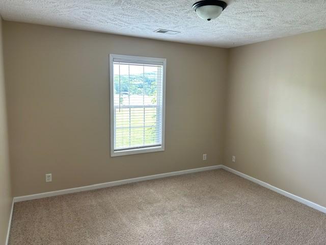 carpeted empty room with a textured ceiling