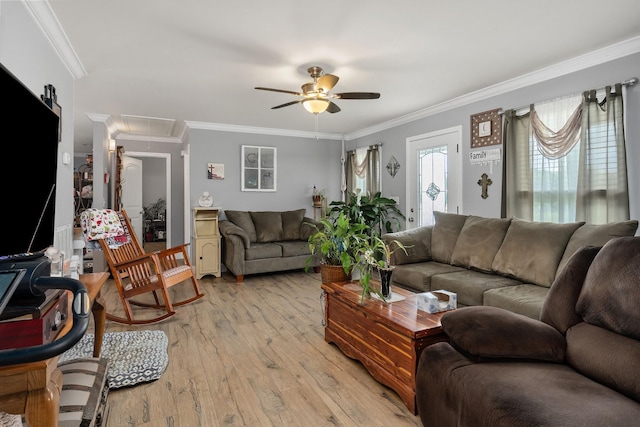 living room with ceiling fan, crown molding, and light wood-type flooring