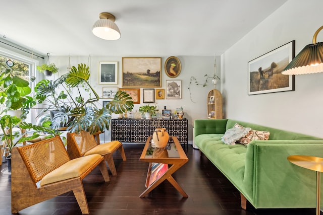 living room featuring dark wood-type flooring