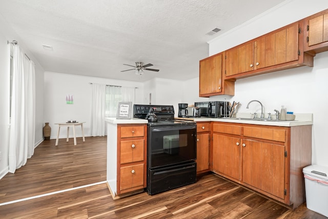 kitchen with dark hardwood / wood-style flooring, a textured ceiling, ceiling fan, sink, and black range with electric stovetop