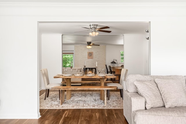 dining space featuring crown molding, ceiling fan, and dark wood-type flooring