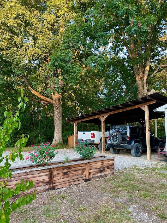 view of yard featuring a carport