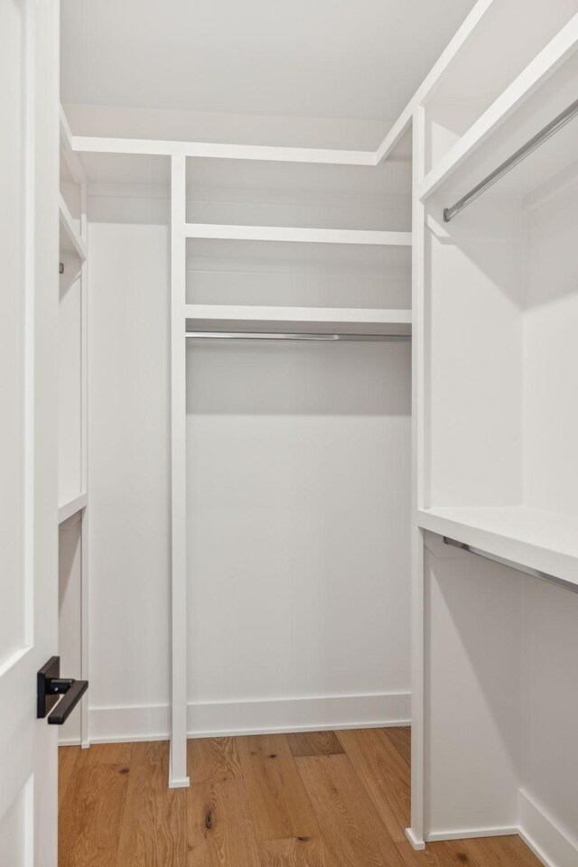 walk in closet with light wood-type flooring