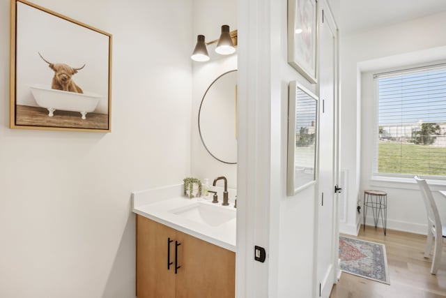 bathroom featuring vanity and wood-type flooring