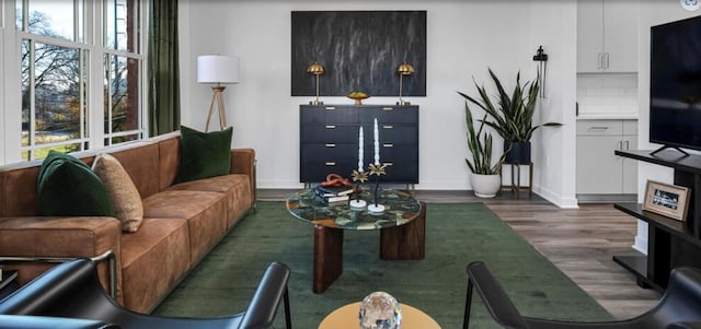 living room featuring dark wood-type flooring