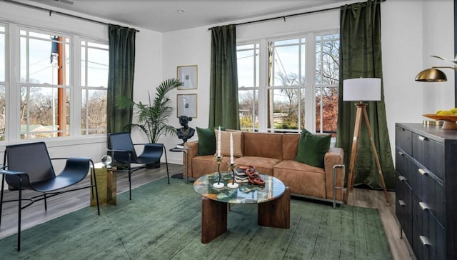 sitting room with dark hardwood / wood-style flooring