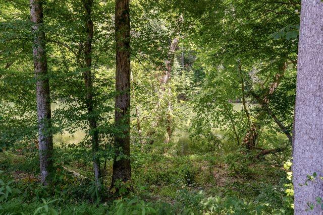 49 Hidden River Rd, Rock Island, TN 38581