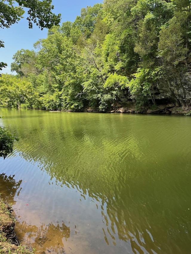 49 Hidden River Rd, Rock Island, TN 38581