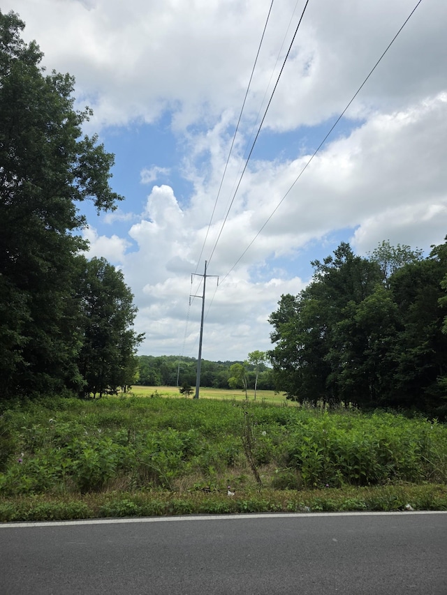 0 Rutledge Ln Unit 12, Lebanon, TN 37087 - photo 4