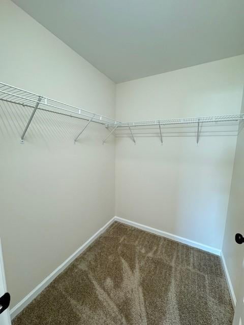 spacious closet with carpet flooring