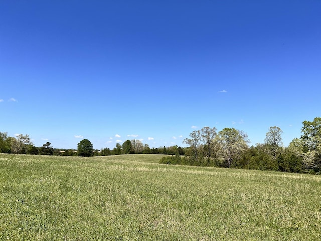 0 Cox Ln, Belvidere, TN 37306 - photo 18