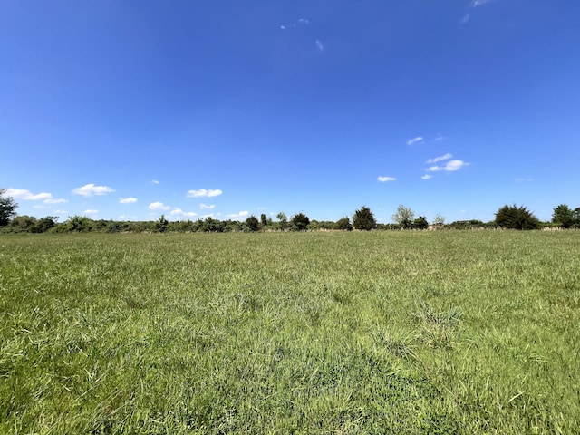 0 Cox Ln, Belvidere, TN 37306 - photo 14