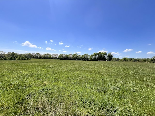 0 Cox Ln, Belvidere, TN 37306 - photo 6