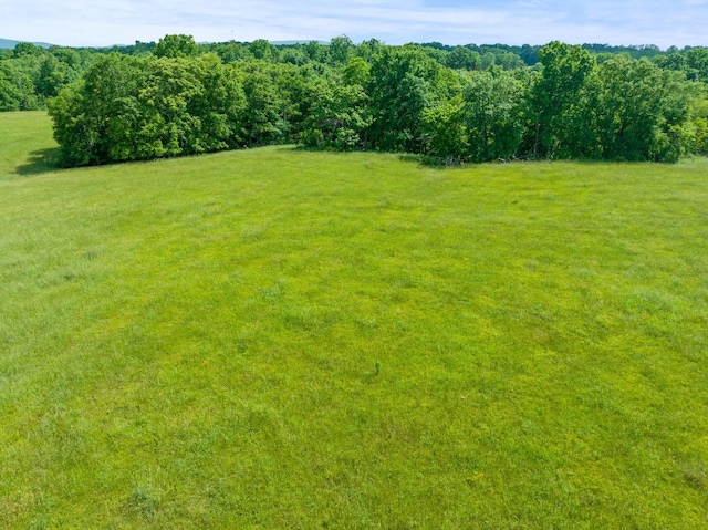 0 Cox Ln, Belvidere, TN 37306 - photo 12