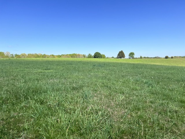 0 Cox Ln, Belvidere, TN 37306 - photo 9
