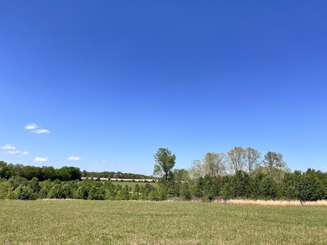 0 Cox Ln, Belvidere, TN 37306 - photo 16