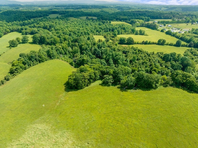 0 J And K Ln, Belvidere, TN 37306 - photo 8
