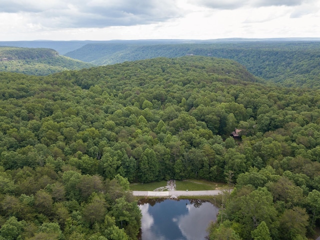 0 Fernwood Ln, Coalmont, TN 37313