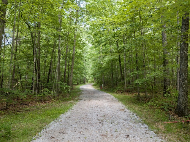 0 Fernwood Ln, Coalmont, TN 37313