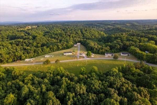 aerial view with a wooded view