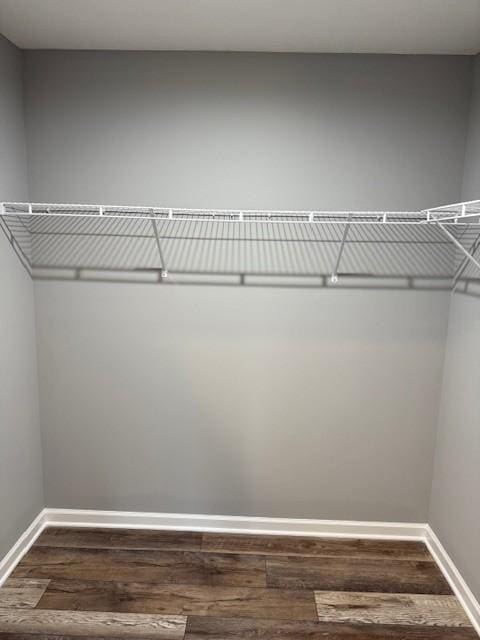 spacious closet featuring dark wood-style flooring