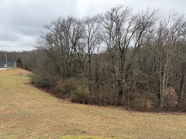 view of landscape featuring a wooded view