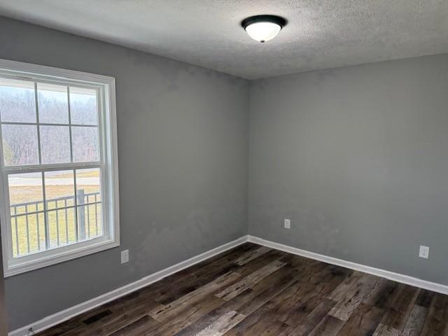 empty room with dark wood-style floors, a healthy amount of sunlight, and a textured ceiling