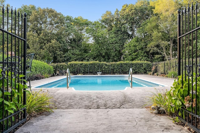 view of pool featuring a patio