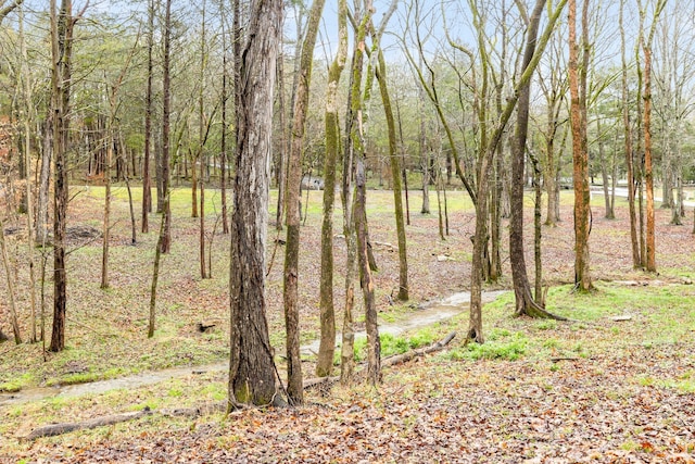 view of landscape