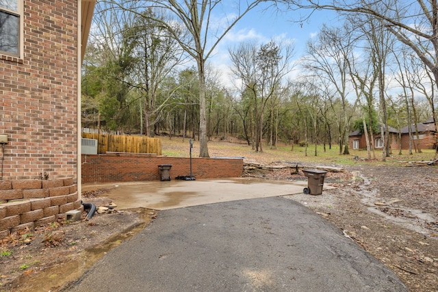 view of yard featuring a patio area