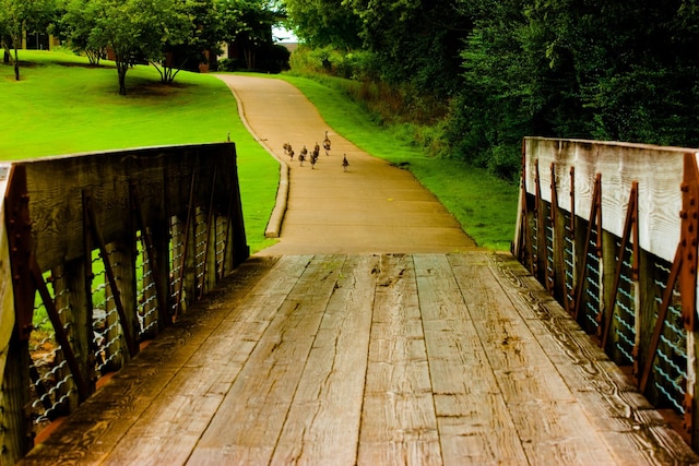 view of property's community featuring a yard