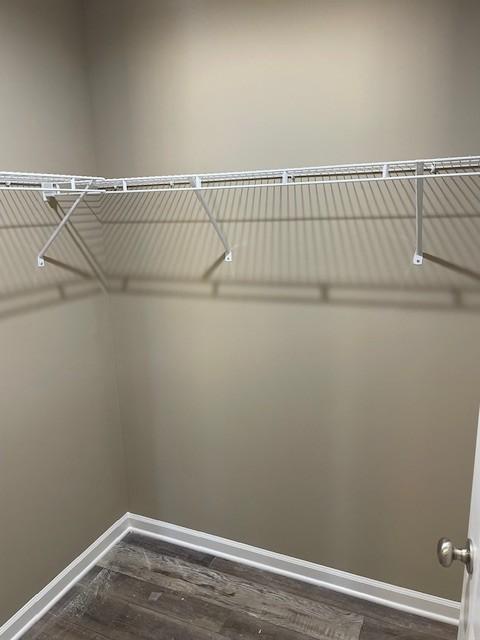 walk in closet featuring dark wood-type flooring